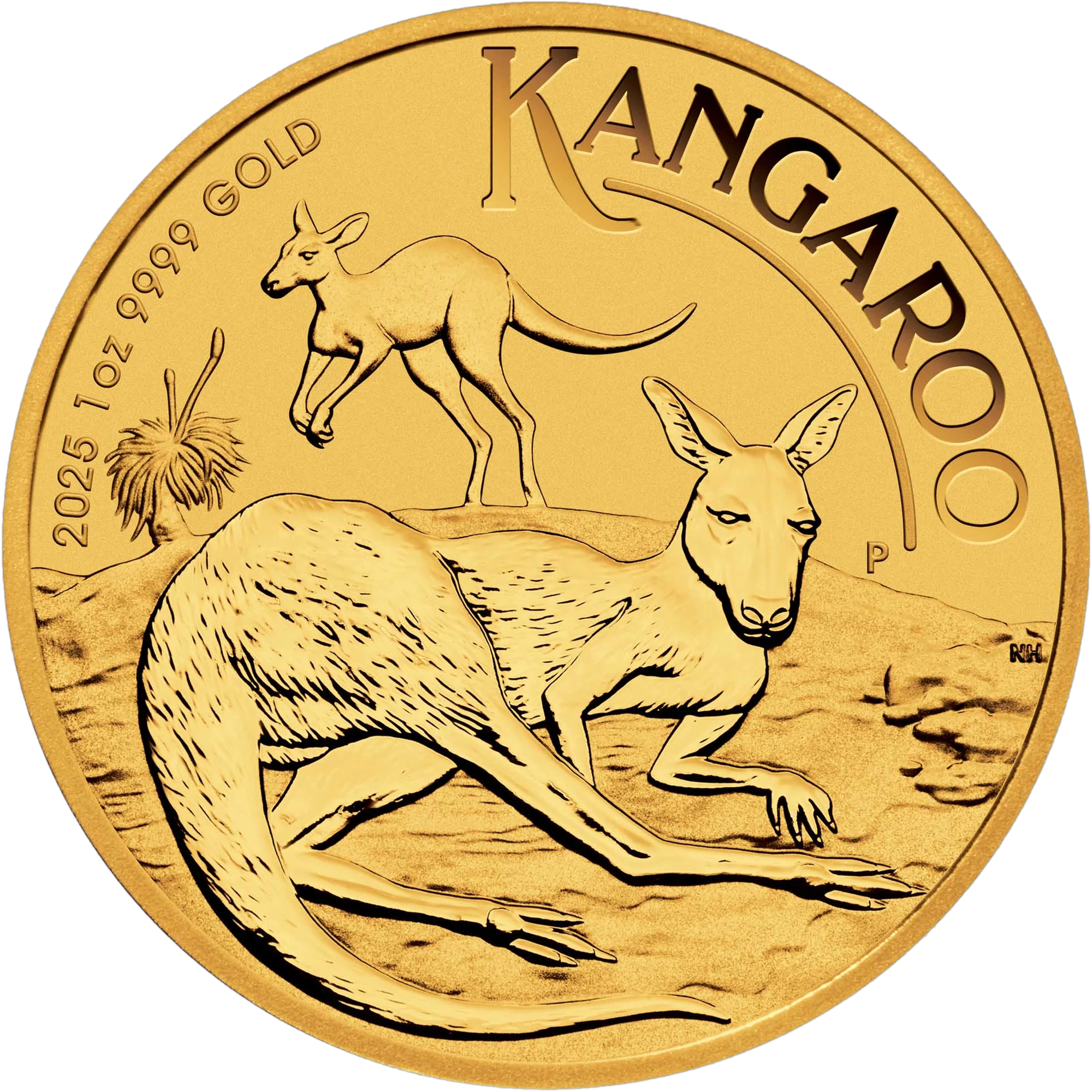 Moneda de Oro 1 oz Canguro (Kangaroo) — Australia Años Variados (Mixed Years)